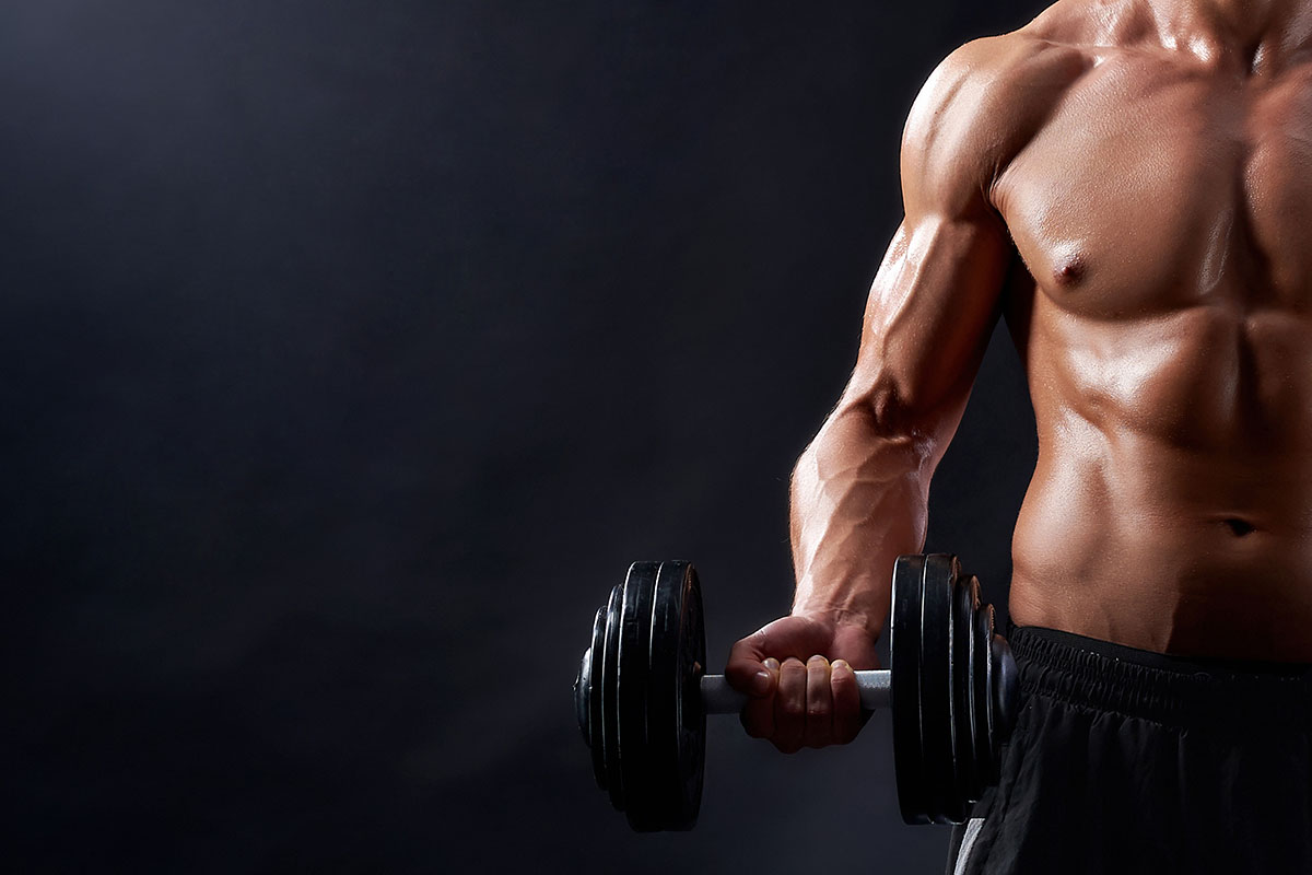5 motivos para ter musculos saudaveis