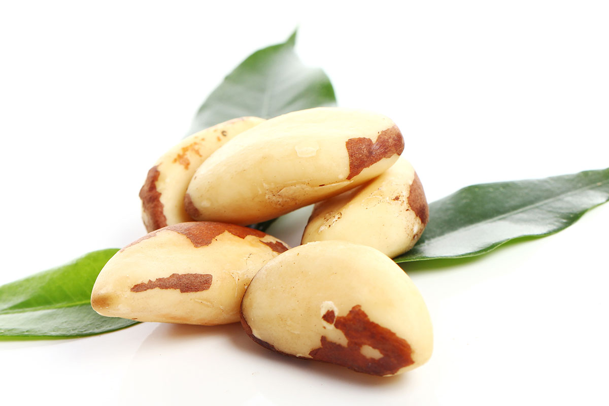 beneficios da castanha-do-para
