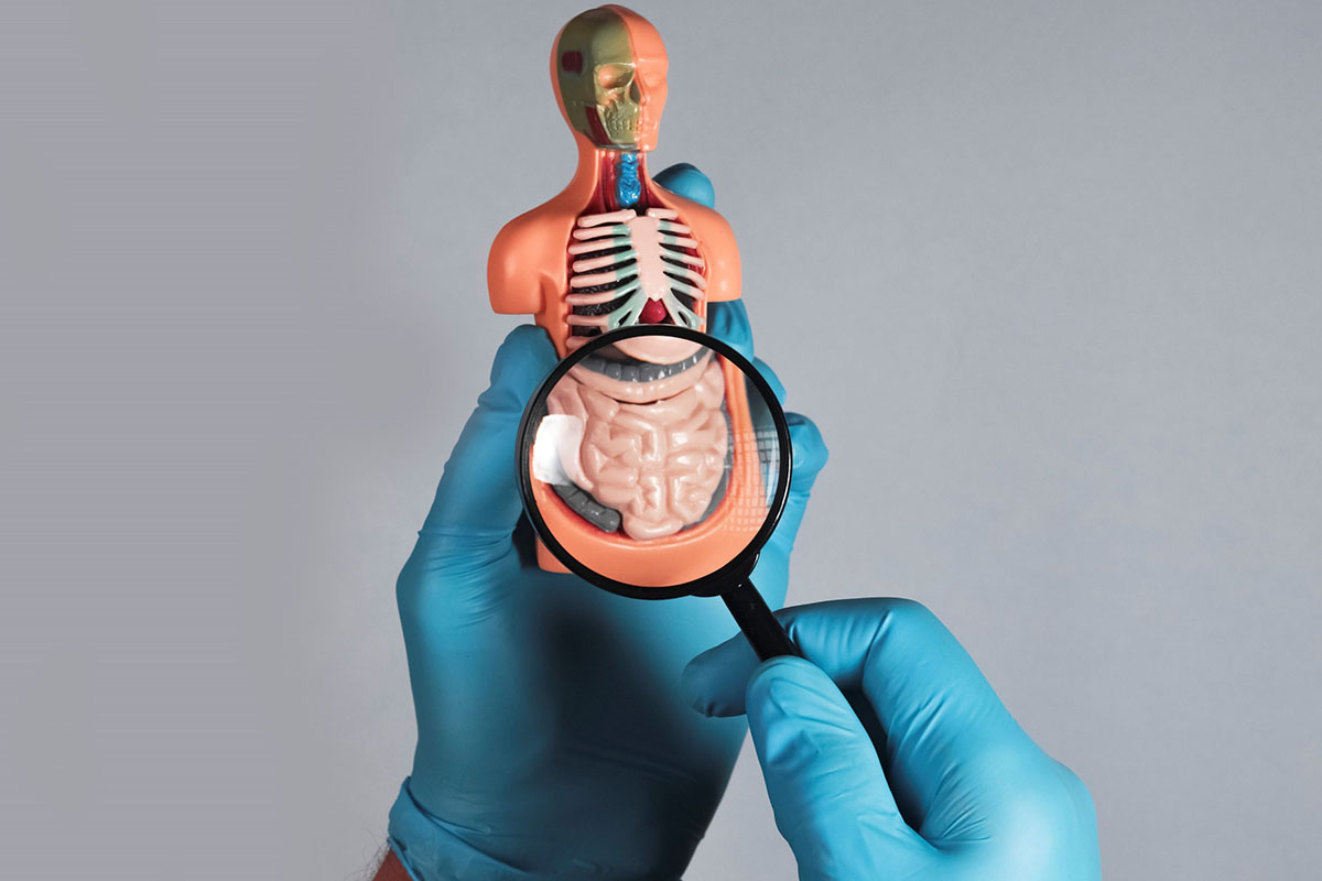 microbiota e biohacking